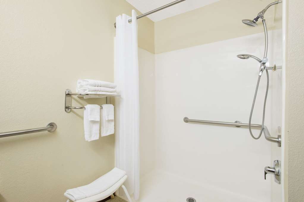 Microtel Inn & Suites by Wyndham Seneca Falls - photo 11