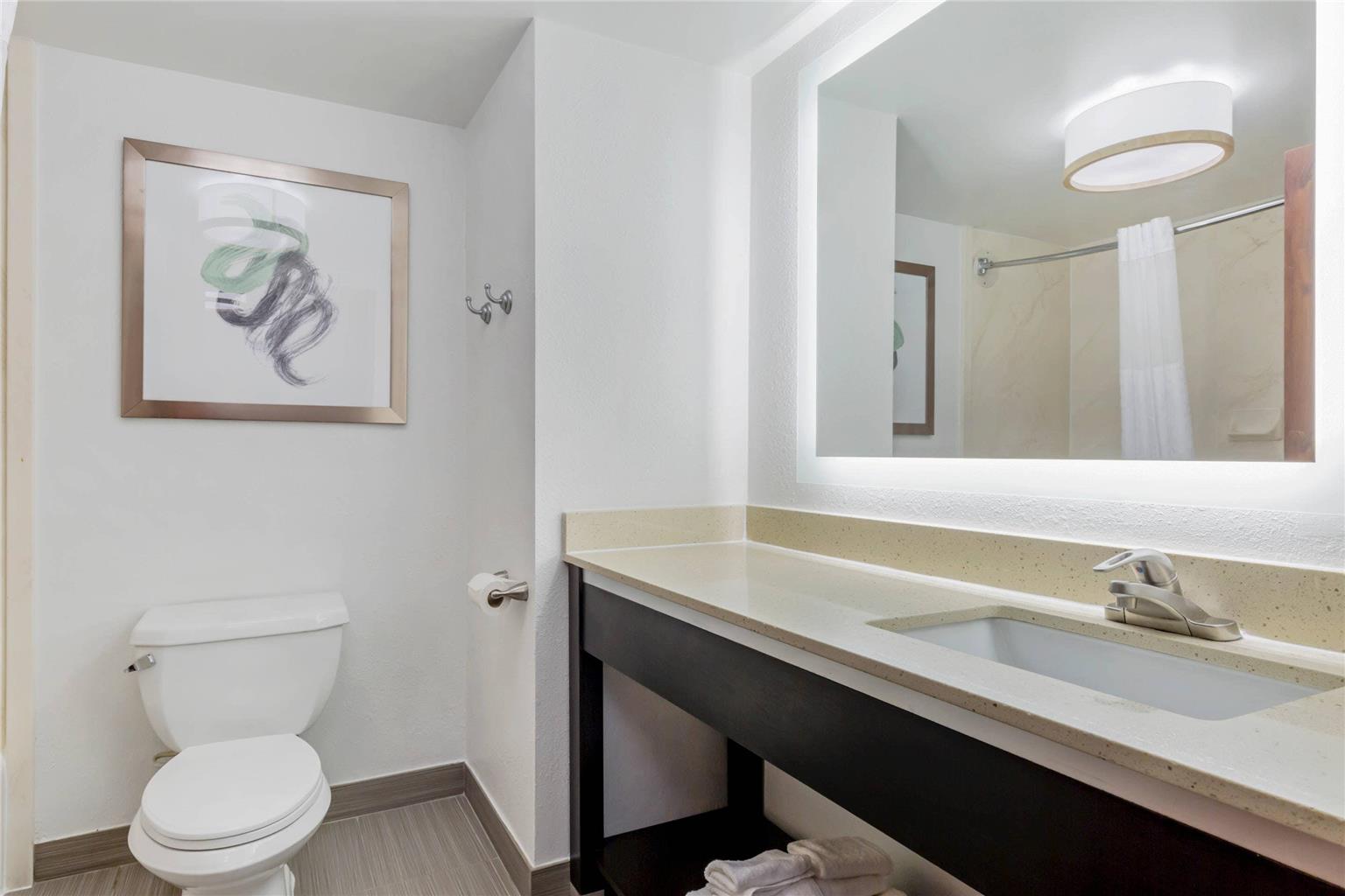 Comfort Inn Laurel Fort Meade - photo 17