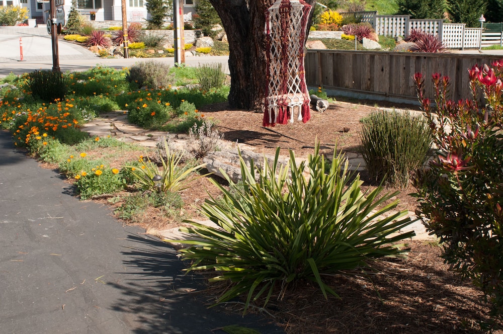 Cambria Palms Motel - photo 16