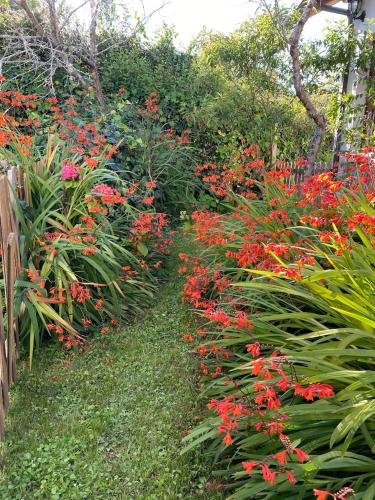 La Casina de Inesita — Valdes — photo 5