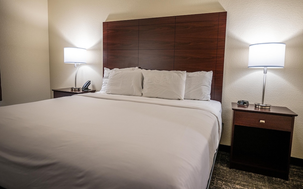 Cobblestone Hotel & Suites Lamar - photo 16