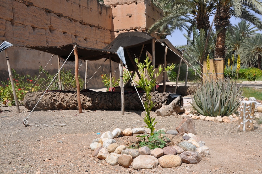 Bivouac Sous les palmiers bleus pet-friendly hotel Ouijjane