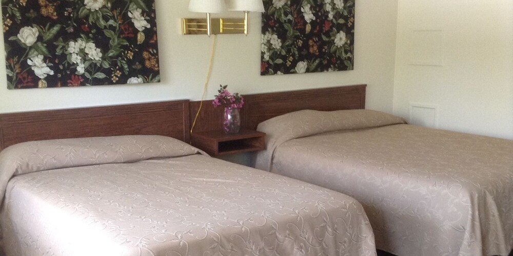 Baumann's Brookside Resort - photo 2