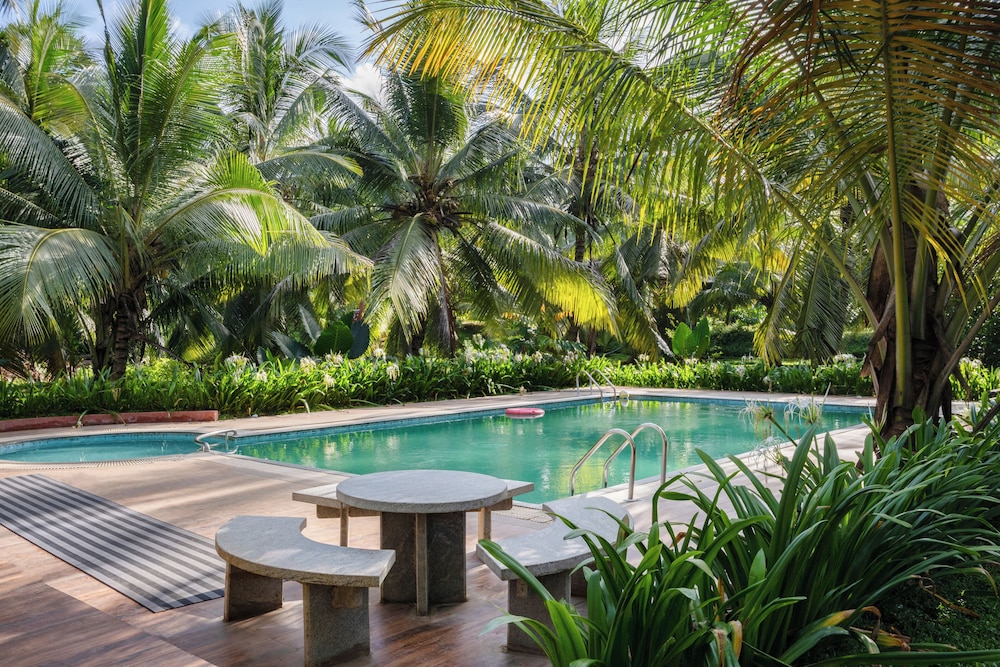 Thanima Farm Life in Palghat, India