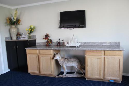 Copa Motel - photo 65