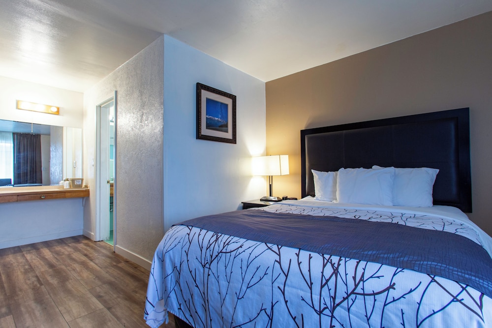 Uptown Inn - photo 8