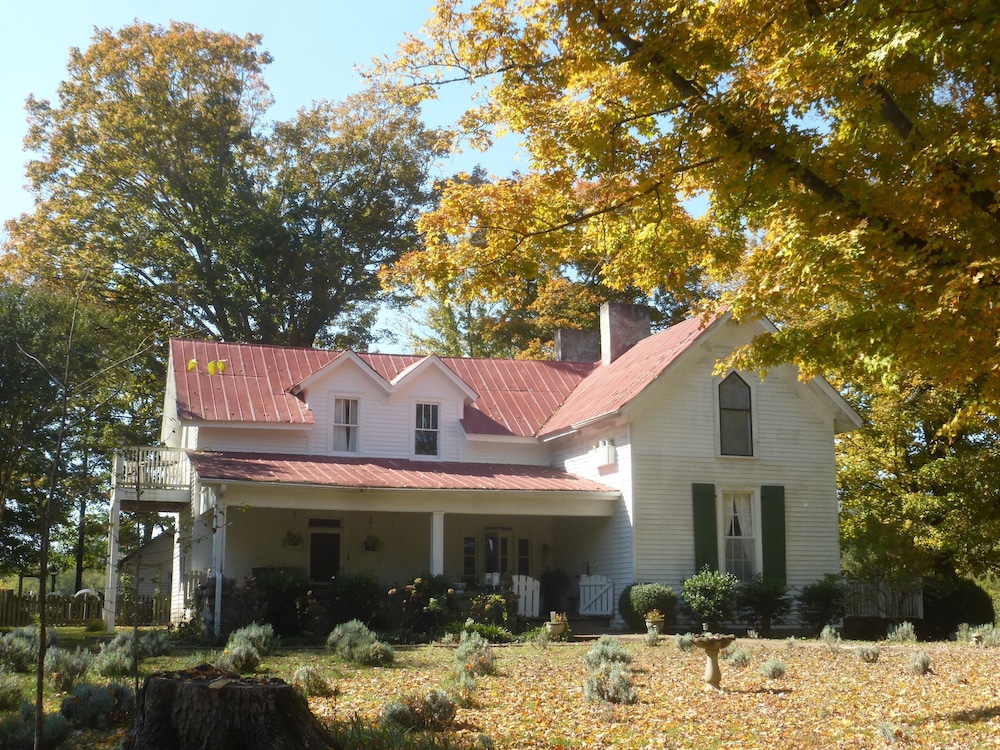 Mulberry Lavender Farm and B&B - photo 41