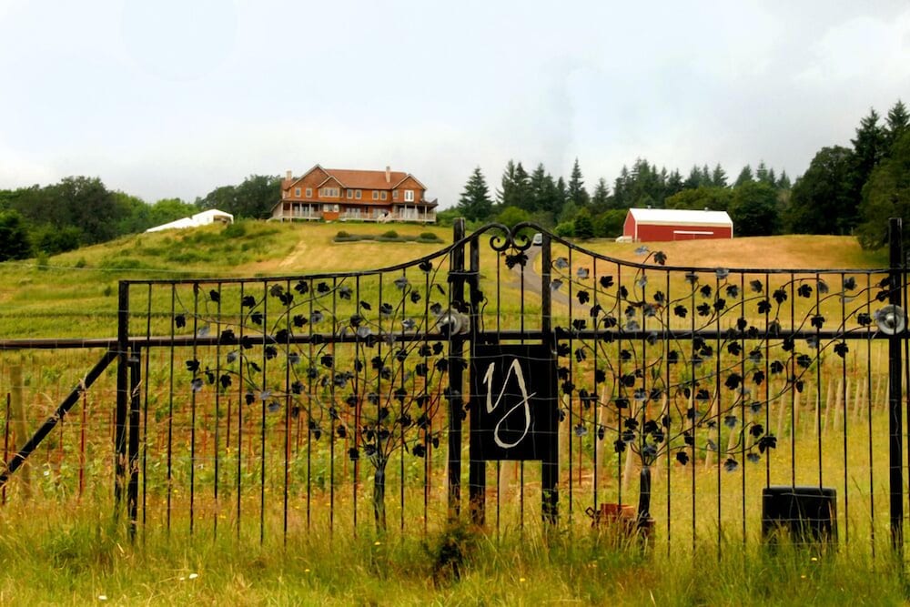 Youngberg Hill - photo 39