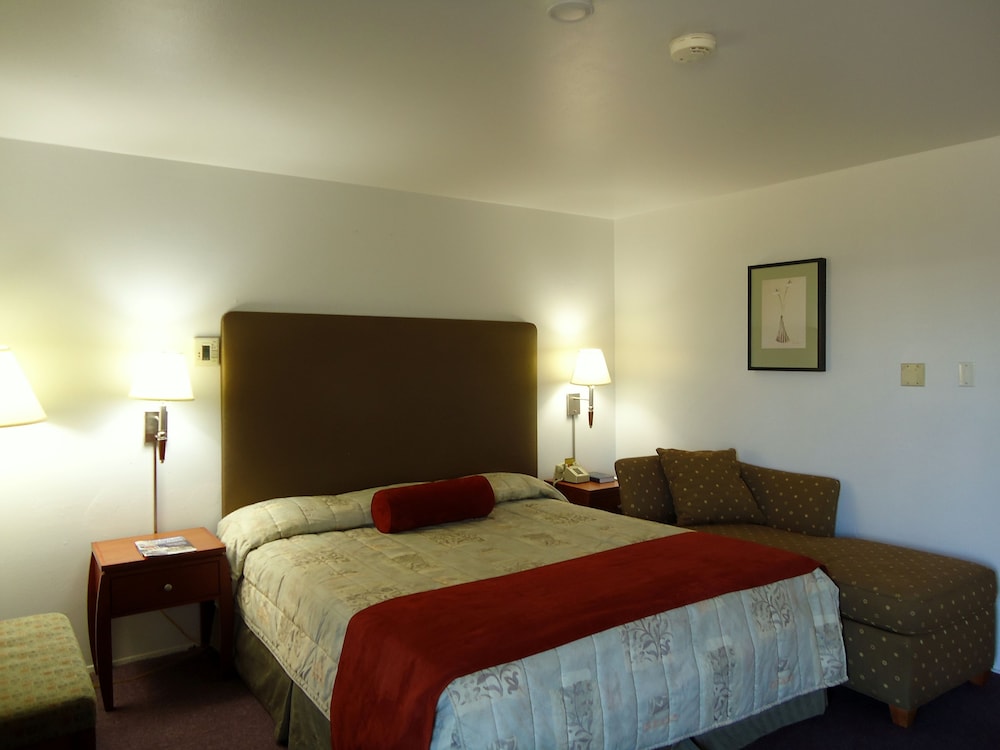 Maple Inn & Suites - photo 7