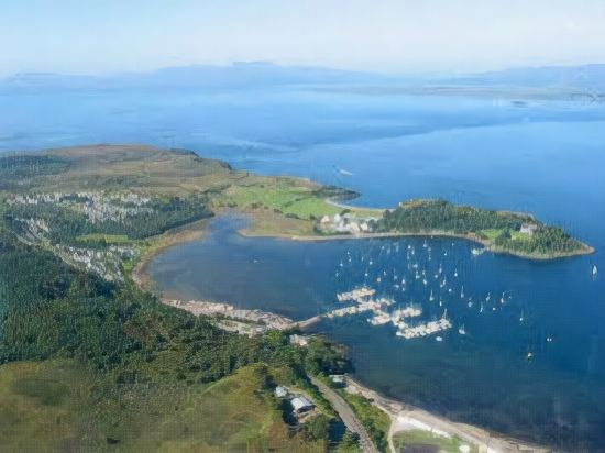 Wide Mouthed Frog in Oban, United Kingdom