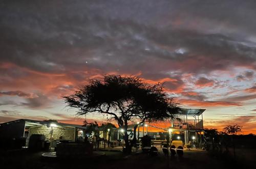 Gecko Accommodation - carbon neutral hotel in Unknown City