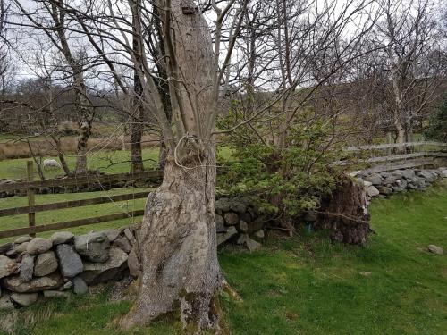 Buarth Wern — Caernarfon — photo 4