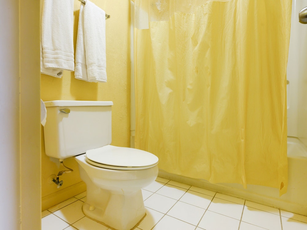 OYO Hotel Williamston - photo 14