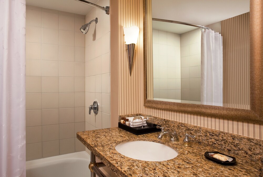 Sheraton Columbia Town Center Hotel - photo 7