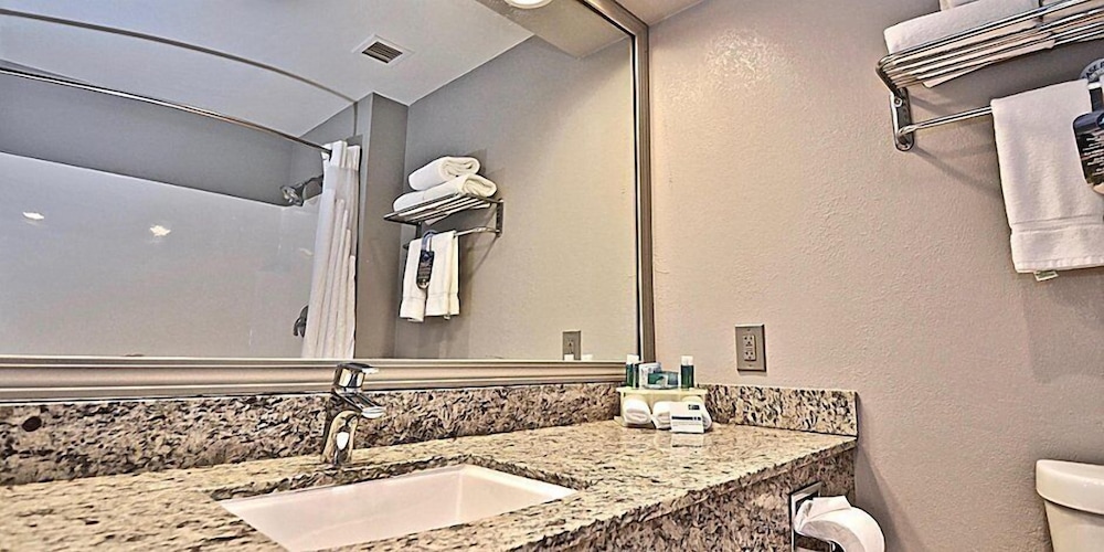 Holiday Inn Express Hotel & Suites Cleveland - photo 29