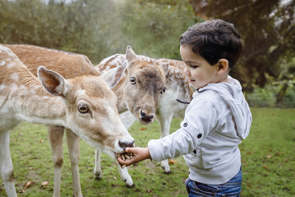 Vakantiepark Dierenbos — hotel in Vught