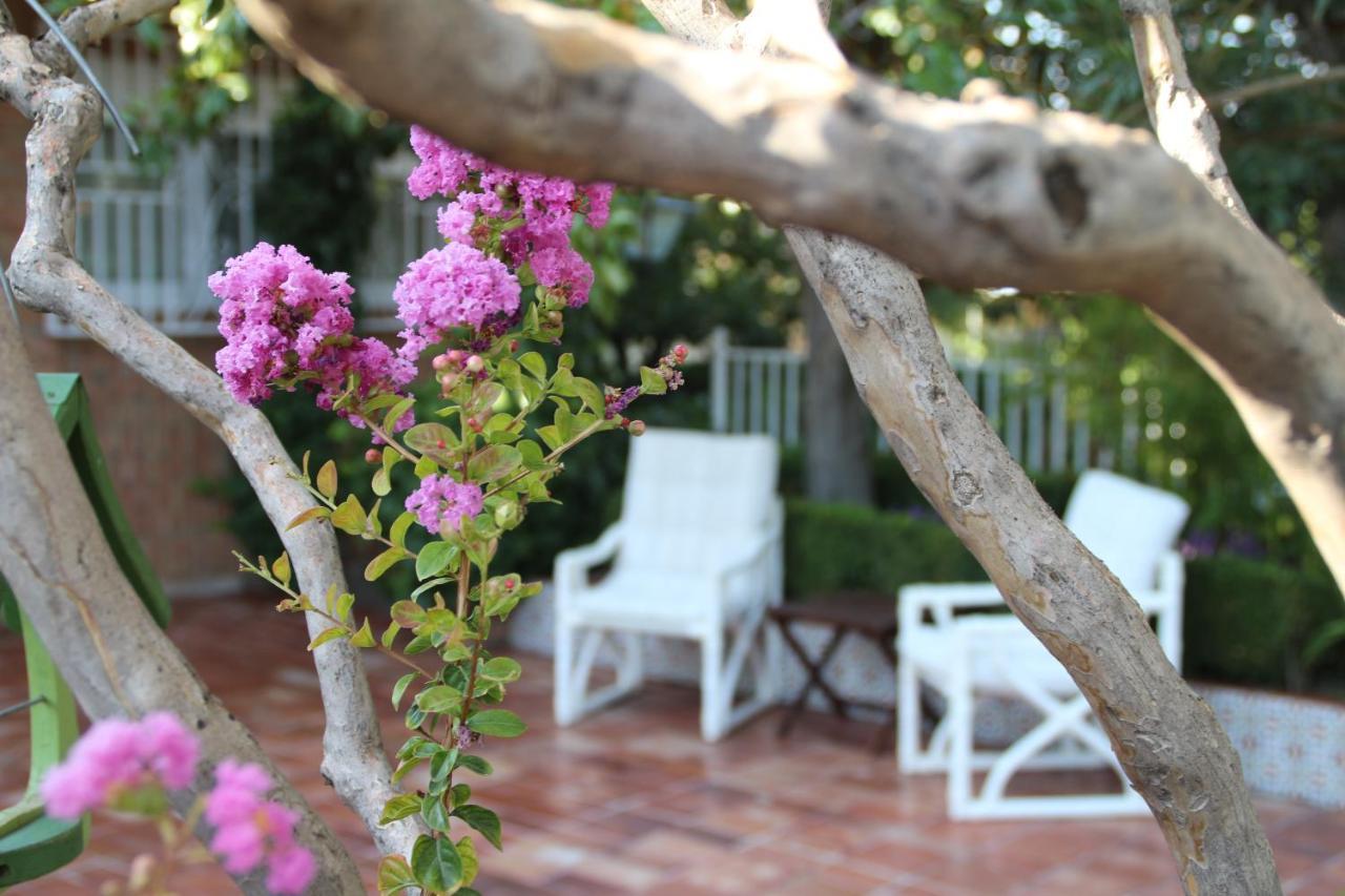 El Jardin de la Abuela pet-friendly hotel Monachil