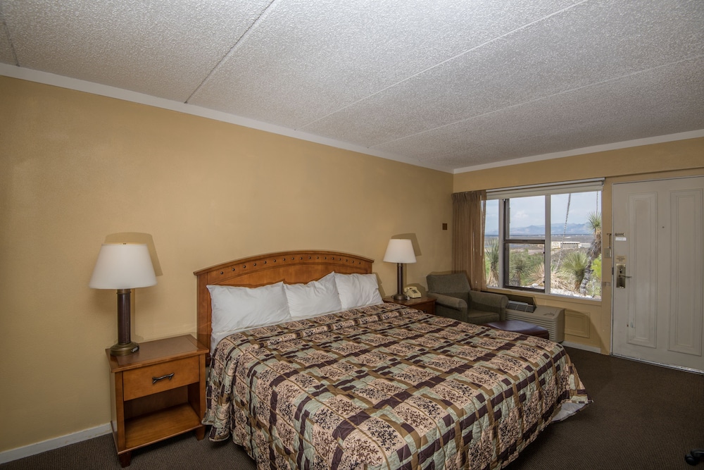 Landmark Lookout Lodge - photo 6