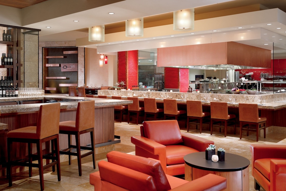 The Ritz Carlton Dove Mountain - photo 88