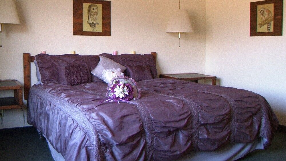 Wilderness Inn - photo 25