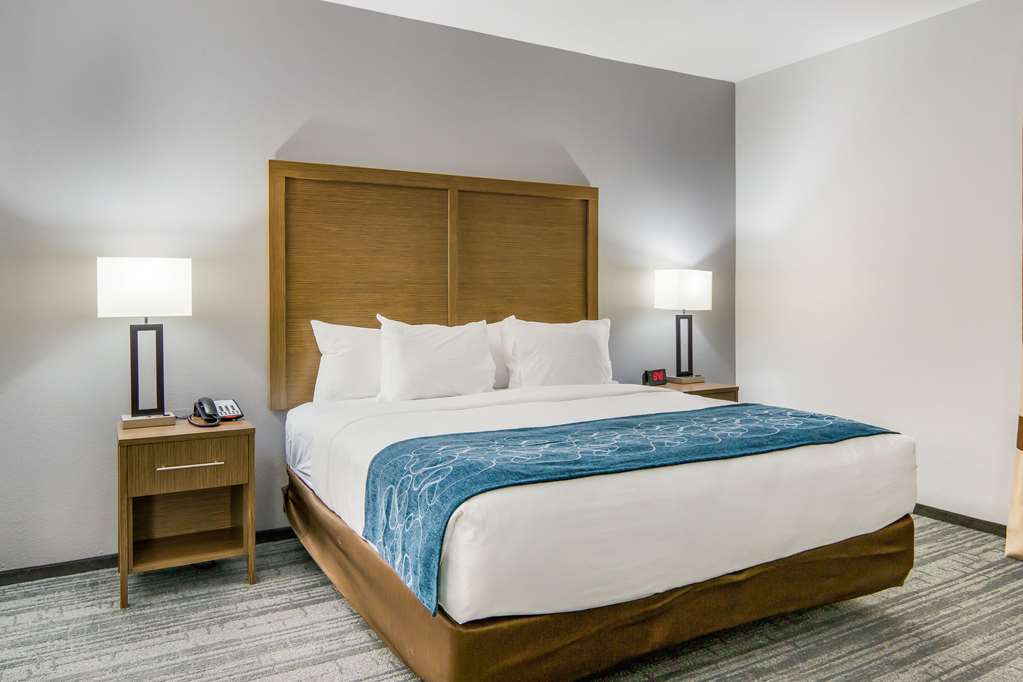 Comfort Suites DeSoto Dallas South - photo 18