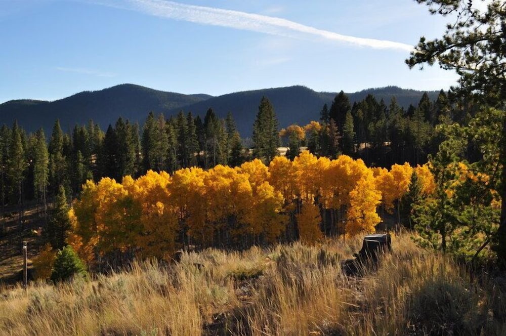 Homestake Lodge - photo 27