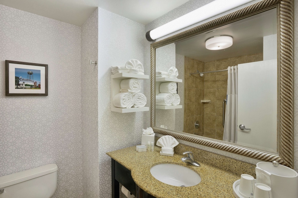 Hampton Inn Collierville - photo 23