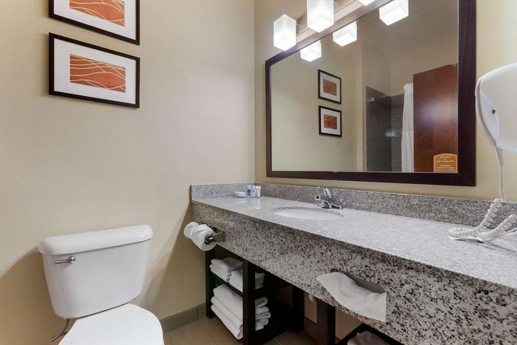 Comfort Inn & Suites Page at Lake Powell - photo 25
