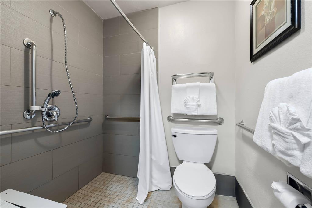 Comfort Inn Gaslamp Convention Center - photo 14