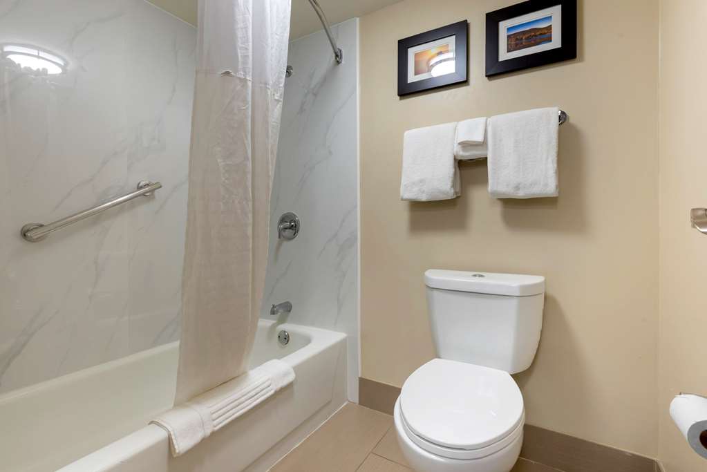 Comfort Inn Binghamton I 81 - photo 19