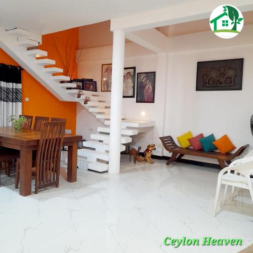 Ceylon Heaven — Unknown City — photo 4