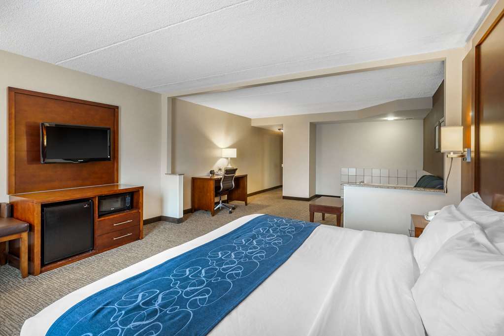 Comfort Suites Manassas Battlefield Park - photo 18