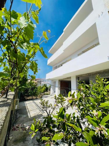 Studio Tarbes Marcadieu — Tarbes