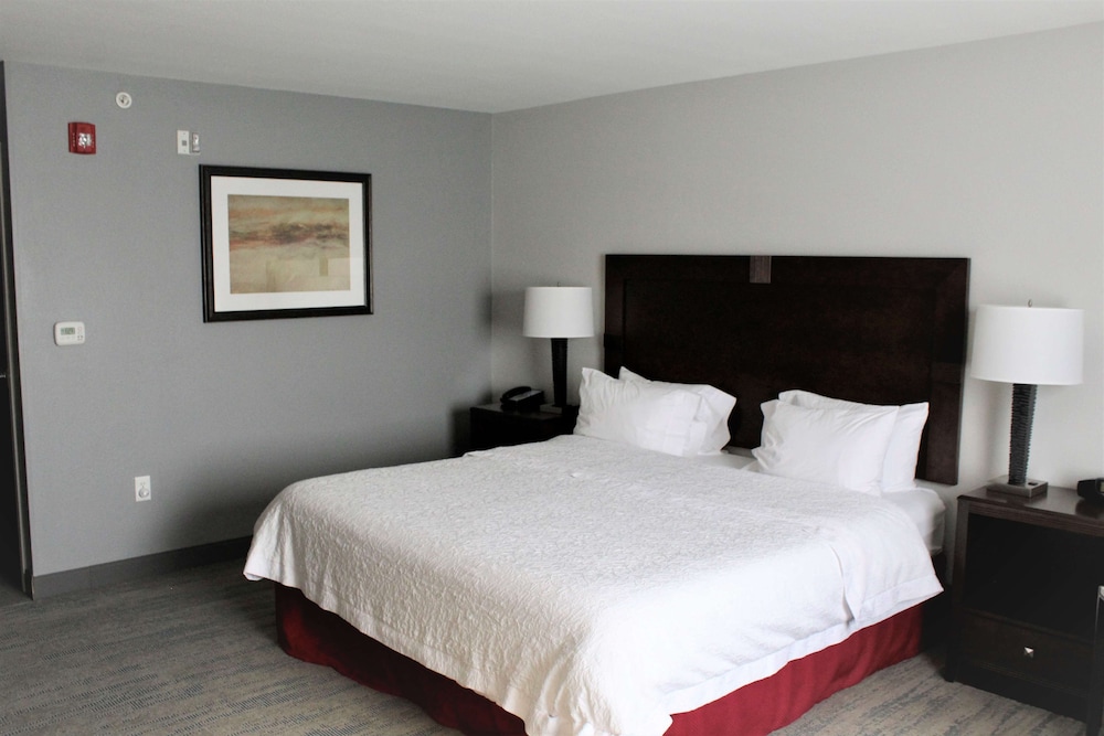 Hampton Inn Indianapolis NW Zionsville - photo 5