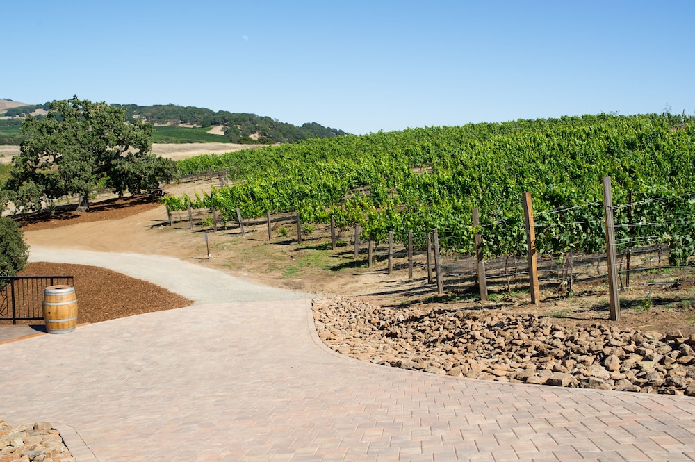 The Meritage Resort and Spa - photo 74