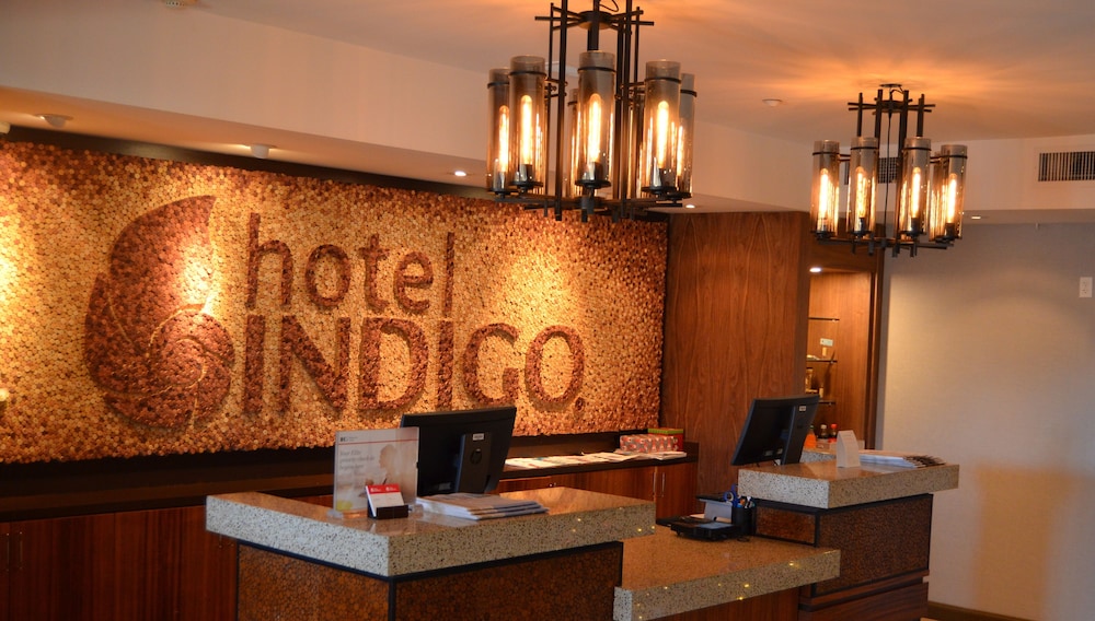 Hotel Indigo Napa Valley an IHG Hotel - photo 2