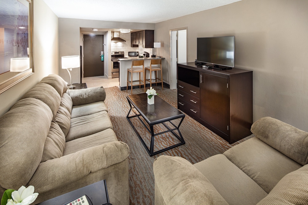 Holiday Inn Atlanta Northlake by IHG - photo 12