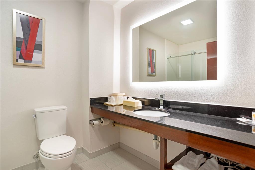 Comfort Inn Livingston - photo 25