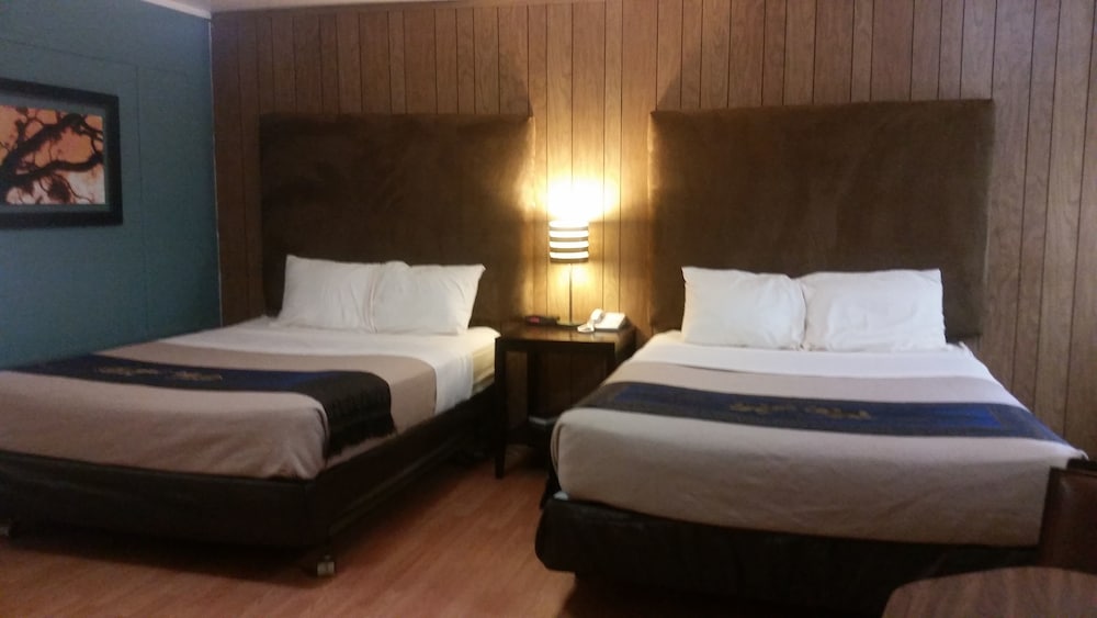 Sonora Gold Lodge - photo 4