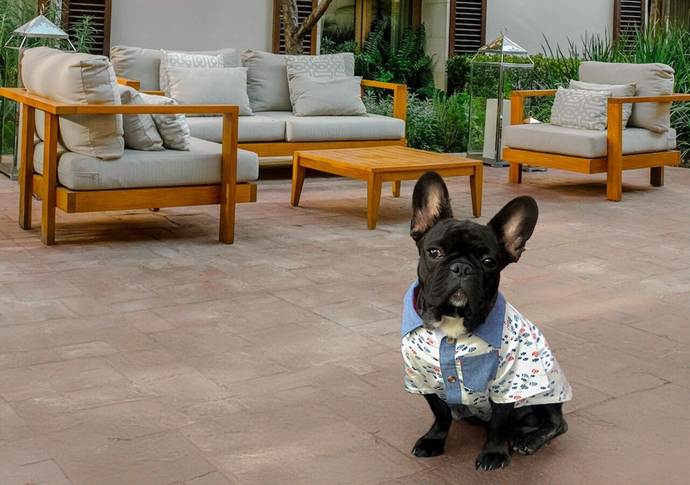 Cartesiano Boutique & Wellness Hotel