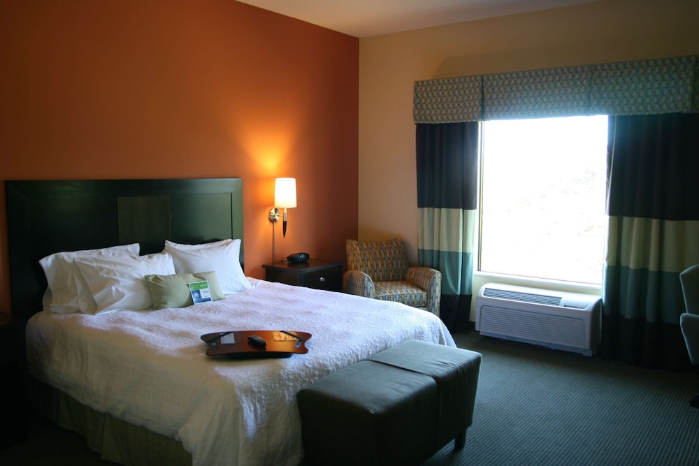Hampton Inn & Suites Austin Lakeway - photo 16