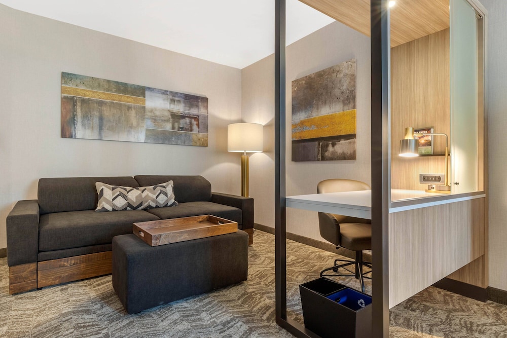 SpringHill Suites by Marriott Charlotte Southwest - photo 11