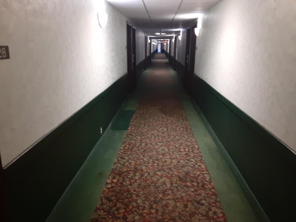 The Vegas Motel - photo 22