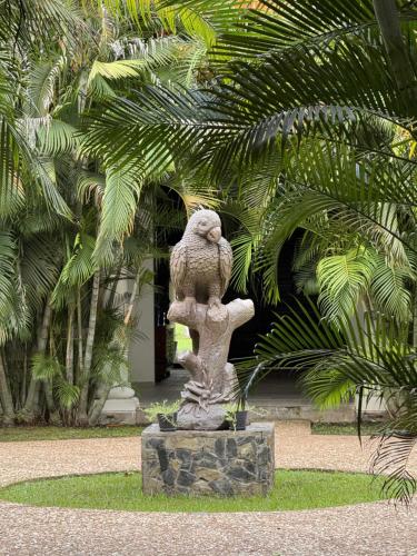 Hacienda Mi Soledad pet-friendly hotel Balancan