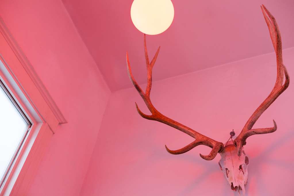 Ace Hotel Seattle - photo 13