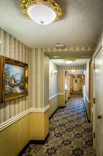 Avenue Plaza Hotel - photo 10