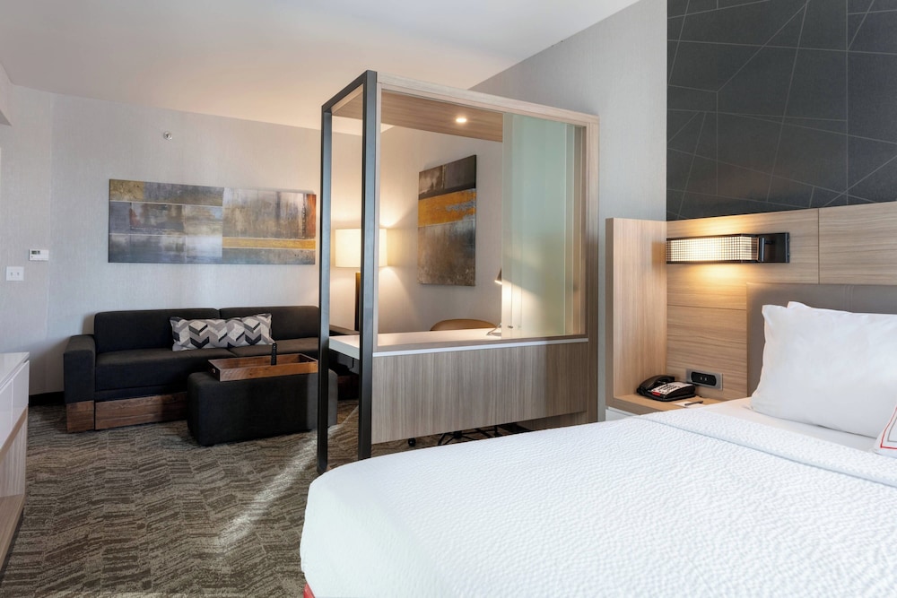 SpringHill Suites by Marriott Chattanooga South Ringgold GA - photo 6