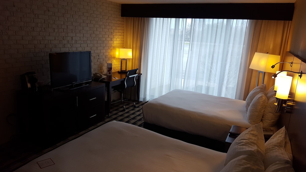 M Hotel Buffalo - photo 10