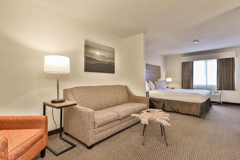 Best Western Mountain View Inn - photo 10
