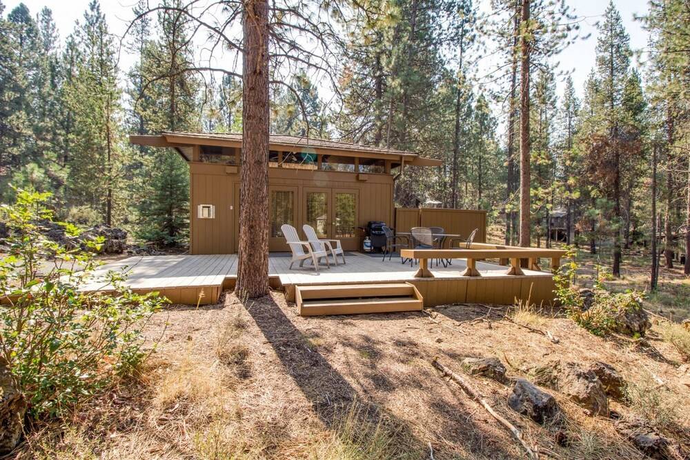 Coyote 20 - photo 18